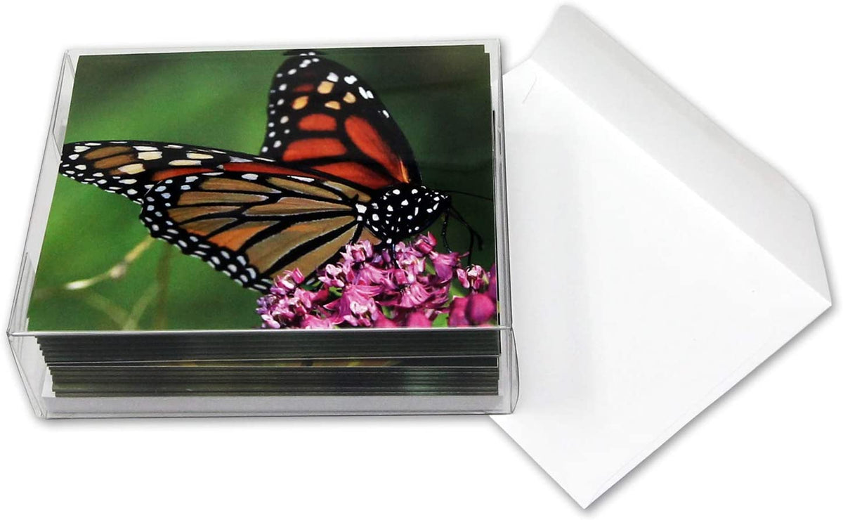 Monarch Butterfly Greeting Cards - Blank Inside - 5.5"x4.25" - Availab ...
