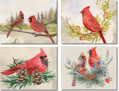 Watercolor Cardinal Note Cards 12 or 24 Count - Blank Inside with Envelopes - A2 Size 5.5" x 4.25"