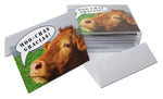 Moo-chas Gracias Cow Thank You Cards - Blank Inside - 5.5"x4.25" - Available in 12 or 24 Packs