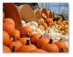 Pumpkins and Gourds Autumn Note Cards - Blank Inside with Envelopes - 5.5"x4.25" - 12 or 24 Packs