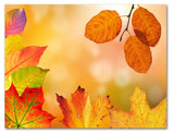 Fall Leaves Cards - Blank Inside with Envelopes - Available in 12 or 24 Packs