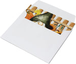 Fall Gnomes Autumn Cards - Blank Inside with Envelopes - 5.5"x4.25" - 12 or 24 Packs