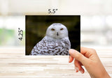 Owl Greeting Cards with ID on back - Blank Inside with Envelopes - 5.5" x 4.25" - Available in 12 or 24 Packs