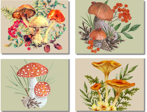 Watercolor Mushroom Note Cards 12 or 24 Count - Blank Inside with Envelopes - A2 Size 5.5" x 4.25"