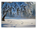 Enchanted Winter Wonderland Cards - Blank Inside with Envelopes - 5.5"x4.25" - 12 or 24 Packs