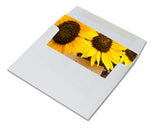 Flower Happy Birthday Cards - Blank Inside with Envelopes - Available in 12 or 24 Packs