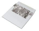 Winter Scenes Cards - Blank Inside with Envelopes - 5.5"x4.25" - 12 or 24 Packs