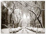 Winter in the City Cards - Blank Inside with Envelopes - 5.5"x4.25" - 12 or 24 Packs