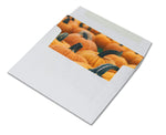 Pumpkins and Gourds Autumn Note Cards - Blank Inside with Envelopes - 5.5"x4.25" - 12 or 24 Packs