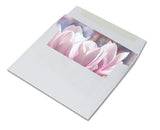 Spring Blossoms Greeting Cards - Blank Inside - 5.5"x4.25" - Available in 12 or 24 Packs