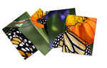 Monarch Butterfly Unframed Wall Art - Four 8x10 Photo Gallery Collage