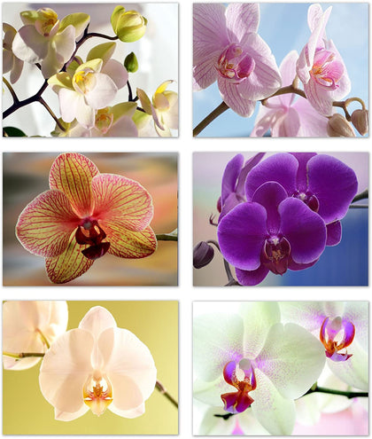 Small World Greetings Orchid Flower Note Cards - Blank Inside with White Envelopes - A2 Size 5.5" x 4.25" - Floral Stationery - All Occasion Birthday, Thank You, and More