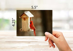 Cardinal Greeting Cards with Envelopes - Blank Inside - 5.5" x 4.25" - 12 or 24 Packs