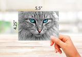 Cat Greeting Cards - Blank Inside with Envelopes - 5.5"x4.25 -  Available in 12 or 24 Packs