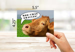 Cow Cards 5.5 inches by 4.25 inches A2 Size