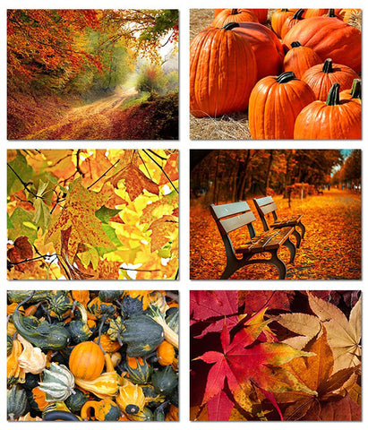 Small World Greetings Autumn Scenes Cards 12 or 24 Count - Blank Inside with Envelopes - A2 Size (5.5”x4.25”) - Thanksgiving, Fall Events, Halloween, and More