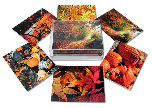 Autumn Scenes Greeting Cards-Blank Inside with Envelopes-5.5