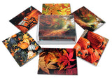 Autumn Scenes Greeting Cards-Blank Inside with Envelopes-5.5"x4.25"-Available in 12 or 24 Packs