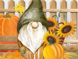 Fall Gnomes Autumn Cards - Blank Inside with Envelopes - 5.5"x4.25" - 12 or 24 Packs