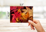 Autumn Scenes Greeting Cards-Blank Inside with Envelopes-5.5"x4.25"-Available in 12 or 24 Packs