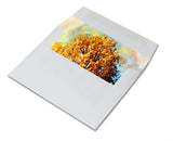 Watercolor Autumn Cards-Blank Inside with Envelopes-5.5"x4.25"-12 or 24 Packs