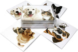Dog and Cat card sets