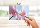 Orchid Cards A2 Size 5.5"x4.25"