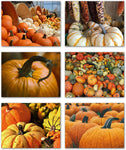 Small World Greetings Autumn Pumpkins and Gourds Cards 12 or 24 Count - Blank Inside with Envelopes - A2 Size (5.5”x4.25”) - Thanksgiving, Fall Events, Halloween, and More