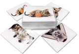 Playful Kittens Greeting Cards-Blank Inside with Envelopes-5.5"x4.25"-Available 12 or 24 Packs