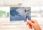Enchanted Winter Wonderland Cards - Blank Inside with Envelopes - 5.5"x4.25" - 12 or 24 Packs