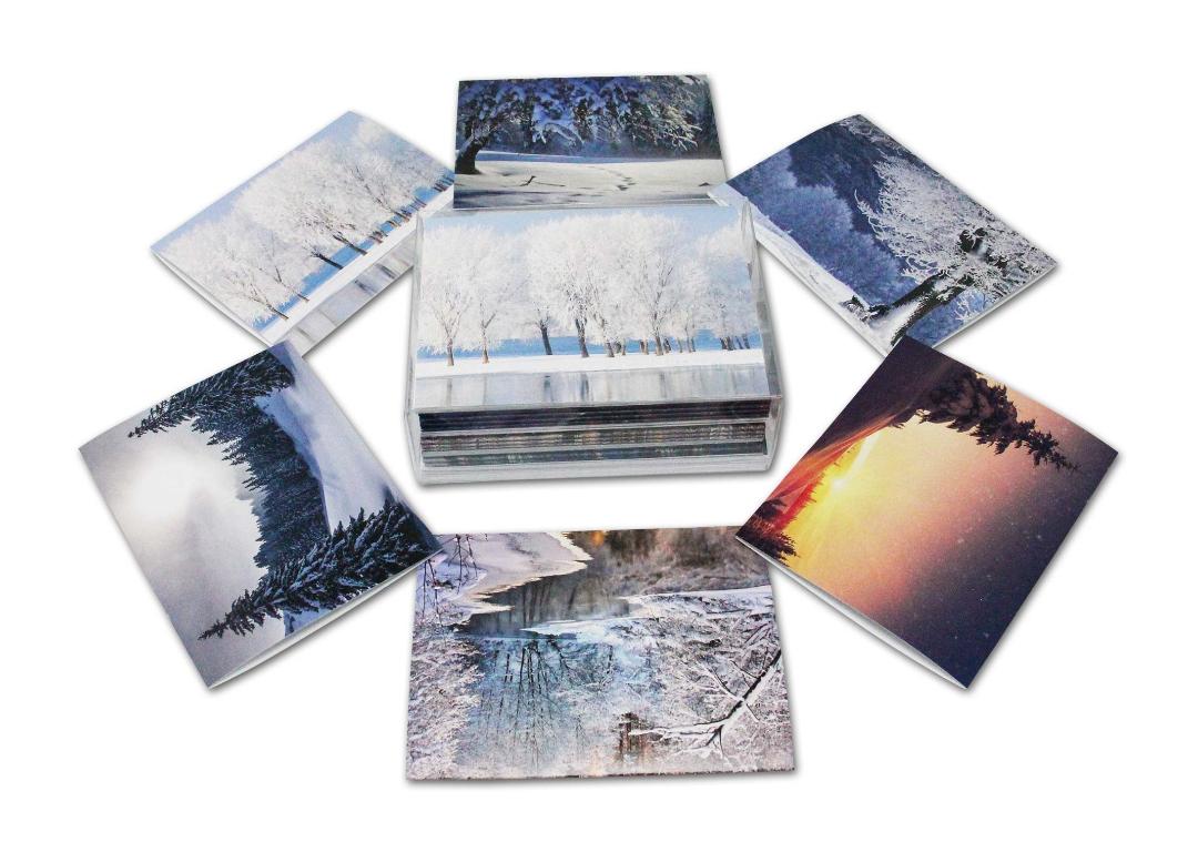 Small Winter Card Enchanted Winter Wonderland Cards - Blank Inside with Envelopes - 5.5 ...