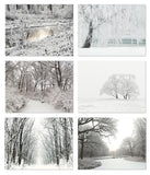Small World Greetings Winter Scenes Cards 12 or 24 Count - Blank Inside with Envelopes - A2 Size (5.5”x4.25”) - Happy Holidays, Christmas, Winter Events, and More