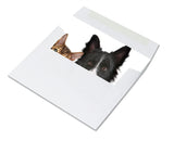 Dog and Cat Cards with envelopes