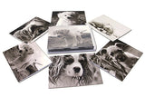 Puppy Greeting Cards - Blank Inside - 5.5"x4.25" - Available in 12 or 24 Packs