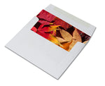 Autumn Scenes Greeting Cards-Blank Inside with Envelopes-5.5"x4.25"-Available in 12 or 24 Packs