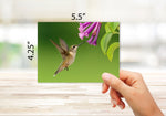 Hummingbird Note Cards- Blank Inside with White Envelopes - A2 Size 5.5" x 4.25"