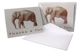 Thanks A Ton Elephant Thank You Cards-Blank Inside-5.5"x4.25"-12 or 24 Packs
